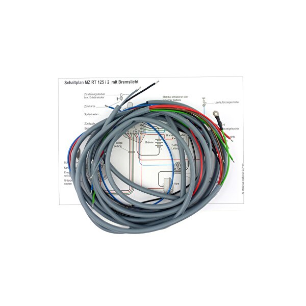 Kabelbaum IFA - MZ RT 125 1/ 2 ( GRAU ) - Halbnabe
