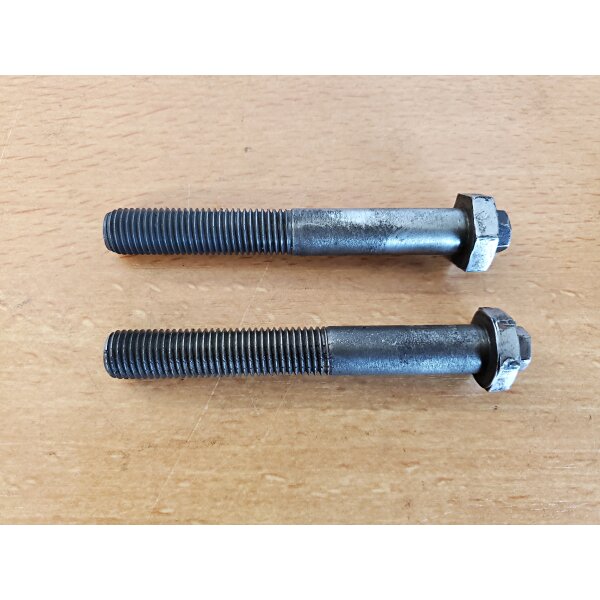 1 Paar Original Schrauben Telegabel BK 350