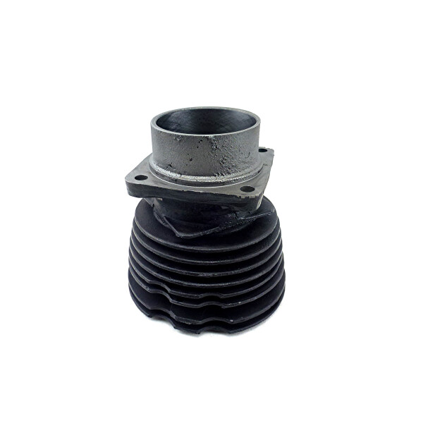 Zylinder regeneriert EMW R35, BMW R35 ohne Austausch