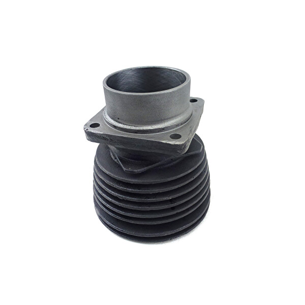 Zylinder regeneriert EMW R35, BMW R35 ohne Austausch